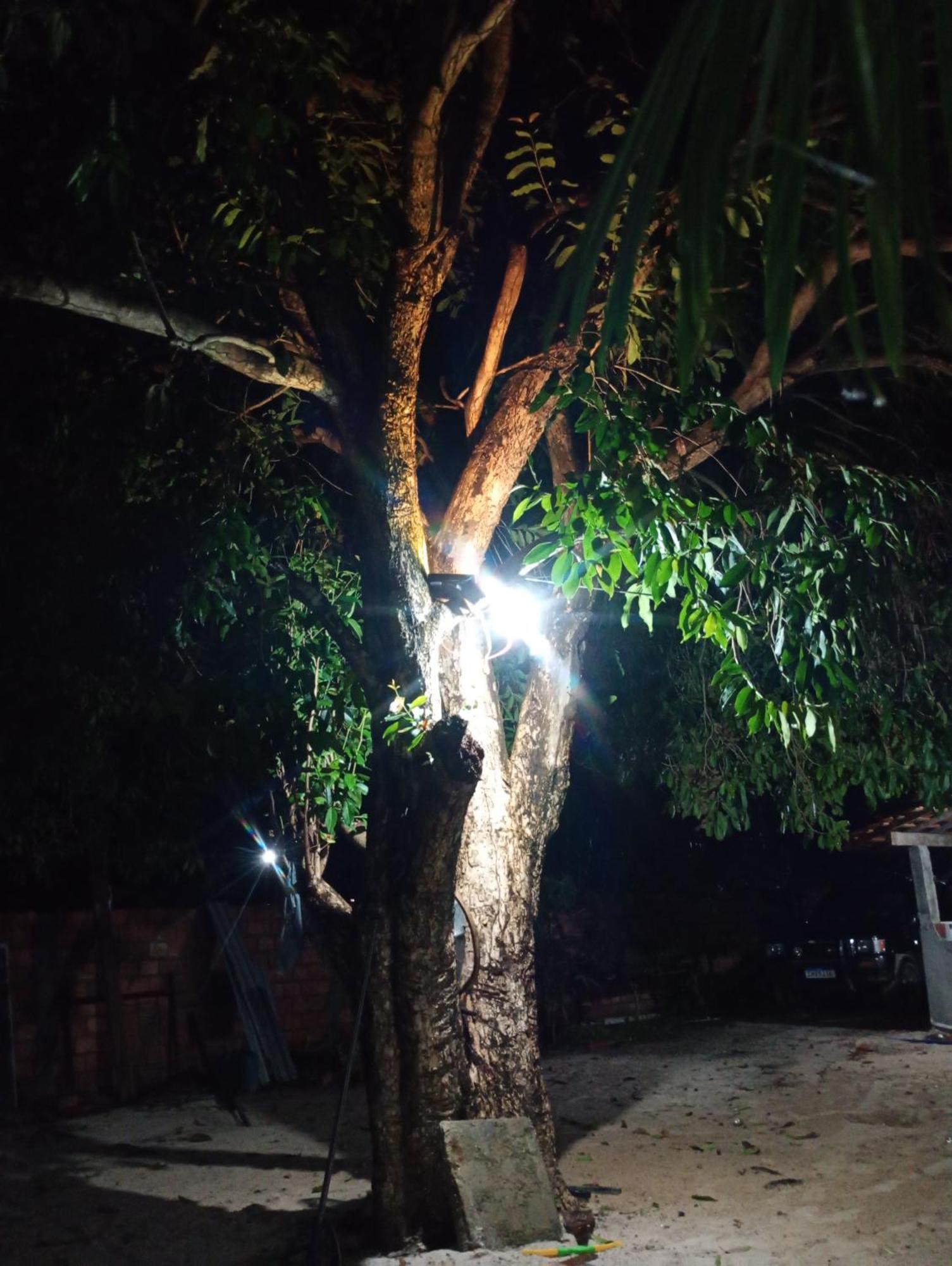 Pousada Shalom E Hostel Holly Land Santo Amaro do Maranhao Eksteriør billede