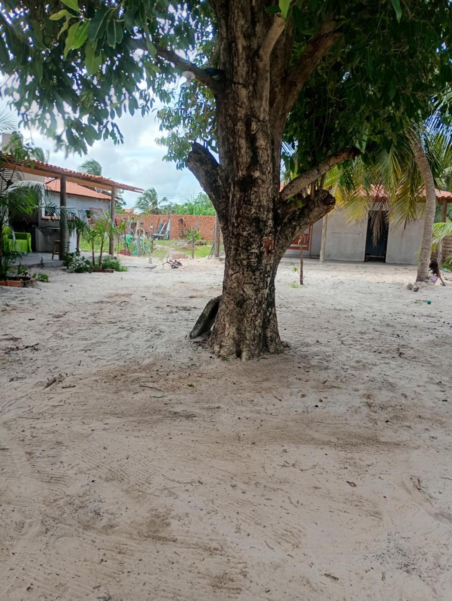 Pousada Shalom E Hostel Holly Land Santo Amaro do Maranhao Eksteriør billede