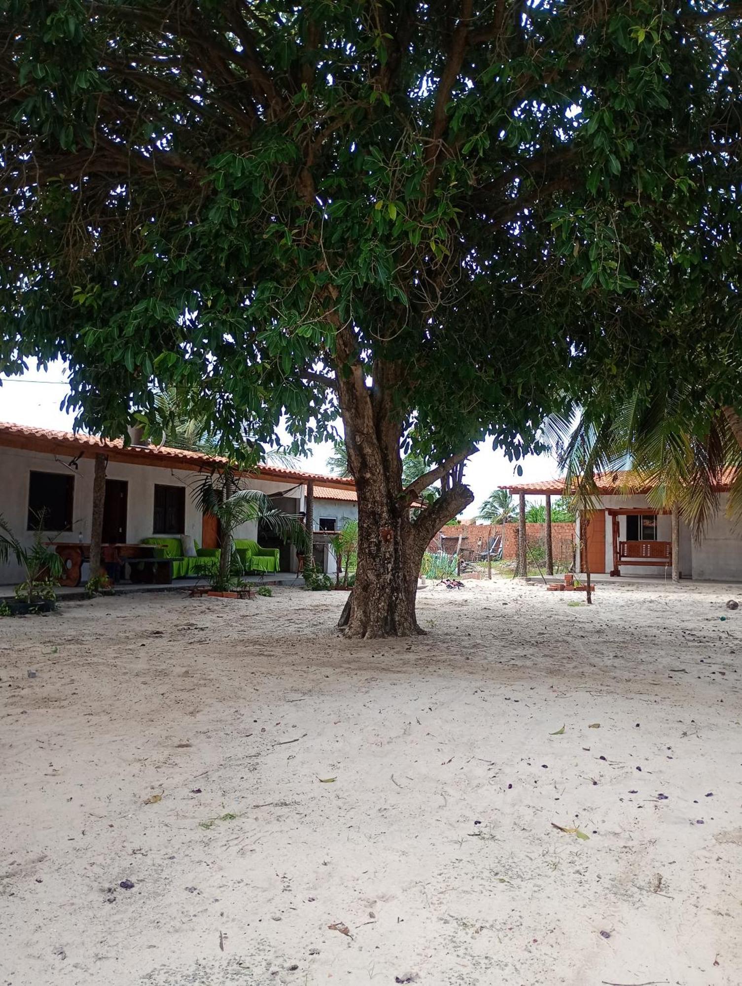 Pousada Shalom E Hostel Holly Land Santo Amaro do Maranhao Eksteriør billede