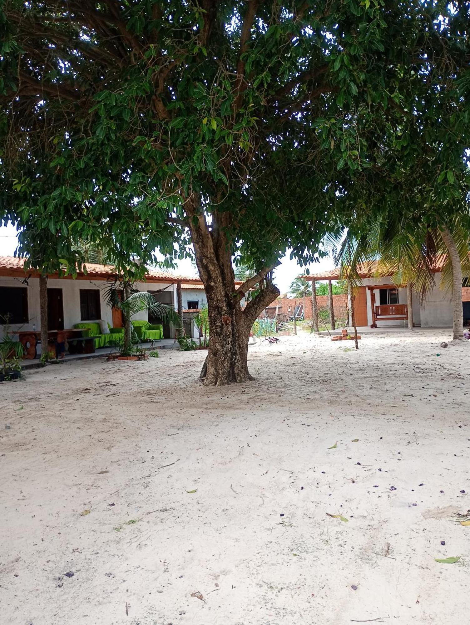 Pousada Shalom E Hostel Holly Land Santo Amaro do Maranhao Eksteriør billede